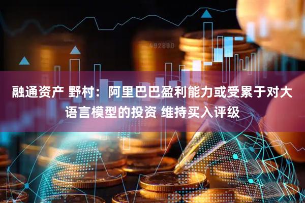 融通资产 野村：阿里巴巴盈利能力或受累于对大语言模型的投资 维持买入评级
