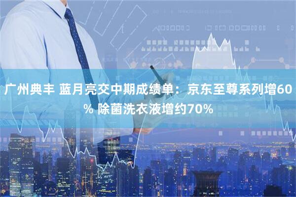 广州典丰 蓝月亮交中期成绩单：京东至尊系列增60% 除菌洗衣液增约70%